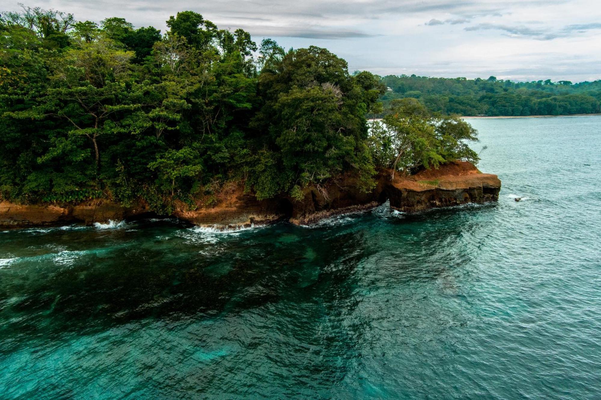 Villas Mapache Del Caribe Puerto Viejo de Talamanca Zewnętrze zdjęcie